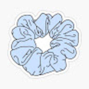 Meet your Posher, Zoe